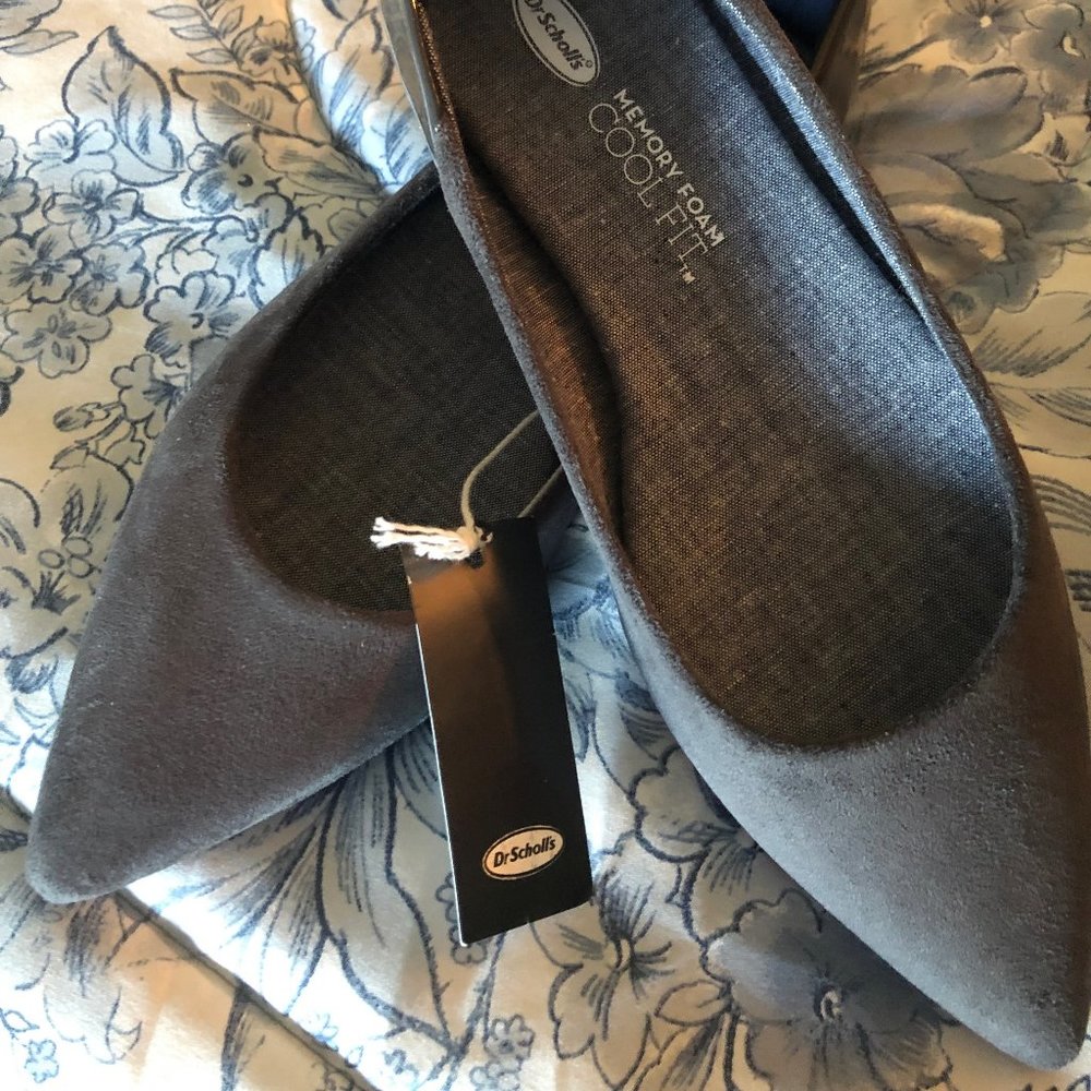 Dr. Scholl's Pointed Toe Ballet Flats